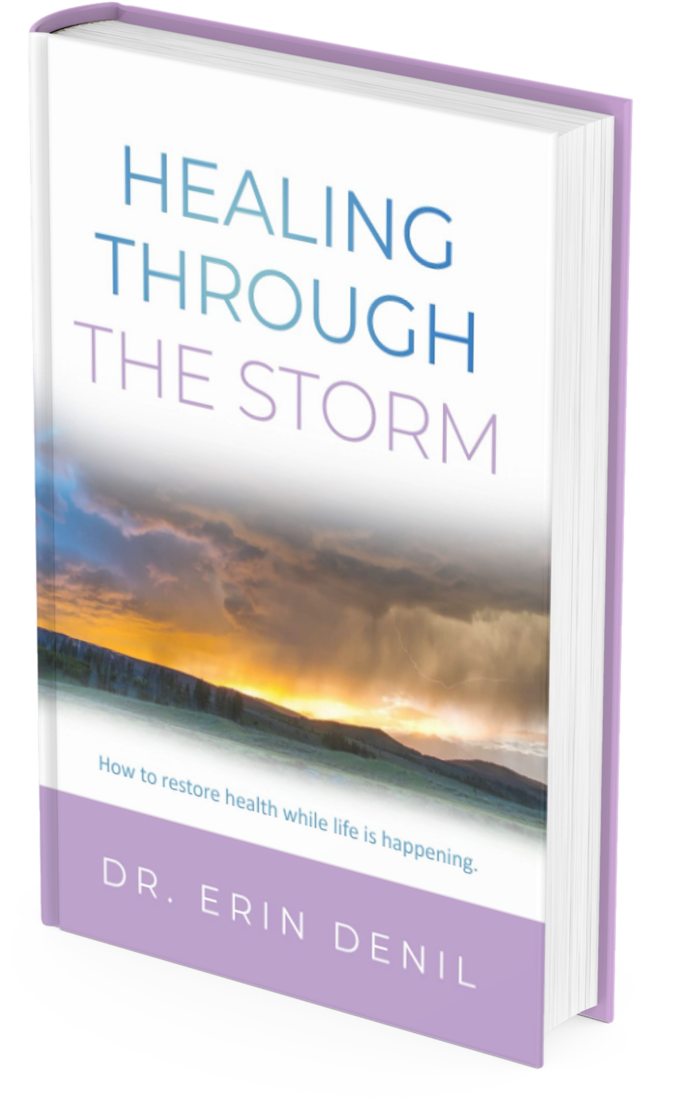 Dr. Erin's Book Healing Through the Storm