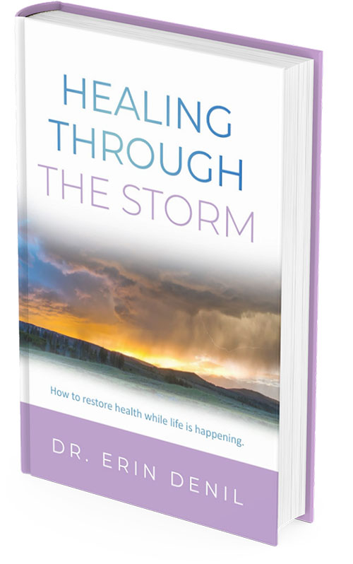 Dr Erin Denil Healing Through The Storm